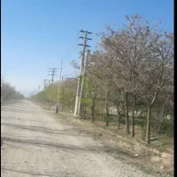 زمین-601متری-سندتکبرگ-کردان-سهیلیه-شهرک-کامرانیه