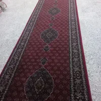 کناره ریزماهی