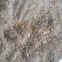 کنجاله پرواری وشیری درجه۱