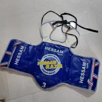 هوگو تکواندو