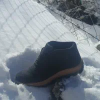 پوتین حراج حراج قیمت ۴۵۰ هزار مفت