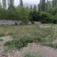 زمینی باغ
