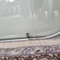 شیشه ۲۰ میل|صنایع دستی و سایر لوازم تزئینی|تهران, شهرک هما|دیوار