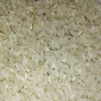 برنج کامفیروزی اصل