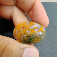 فروش نگین شجر زیبا|بدلیجات|بوشهر, |دیوار