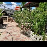 گردش یک روزه در مراغه