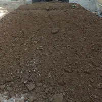 کود پوسیده گاوی وگوسفندی خاک باغچه مرغوب|گل و گیاه طبیعی|رباطکریم, رباطکریم|دیوار