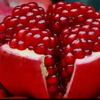 انار درجه ۱