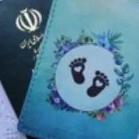 مدارک گم کردم شناسنامه و کارت ملی پویان داراب پور