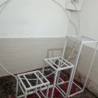 تم تولد نو...