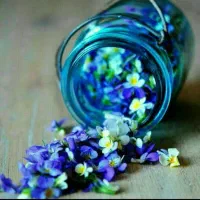 سیم کارت همراه اول دائمی