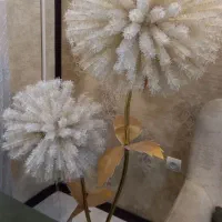 گل قاصدک