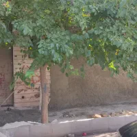 معاوضه-خانه-در-شیراز