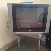 تلویزیون
