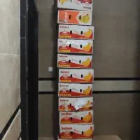 ۲۰ عدد کارتن موزی سالم