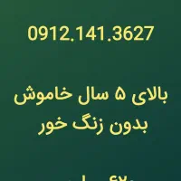 دو عدد سیمکارت ۱۴۱ قدیمی ترین کد زنجان