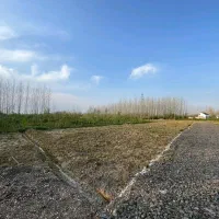 زمین ۳۰۰متری داخل طرح هادی روستا|فروش زمین و ملک کلنگی|صومعه‌سرا, |دیوار