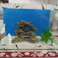 اکواریوم شیشه خم ۲۵در۵۰