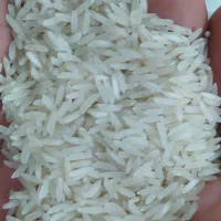 برنج طارم محلی،پارساله