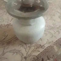 پکنیک سالم پر