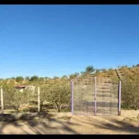 باغ در یاغبستلو