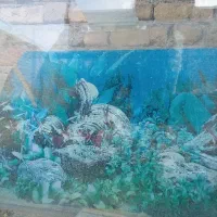 اکواریوم|ماهی|گناباد, |دیوار
