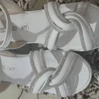 کیف و کفش