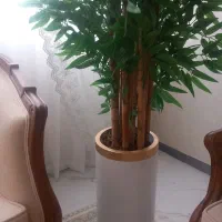 درخچه وارداتی بامبو تنه چوب بزرگ باگلدان|گل مصنوعی|سنندج, |دیوار