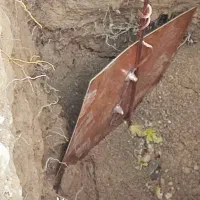 اجرای چاه ارت صفر تاصد اندازه گیری با میگروتاییدیه