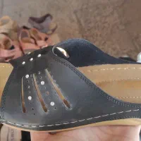 انواع دمپایی ۲۰۰|کیف، کفش، کمربند|دهدشت, |دیوار