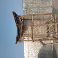 قفس کبوتر به فروش میرسد