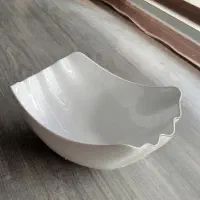ظرف چینی نو سالم