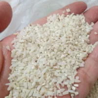 نیم دانه هاشمی