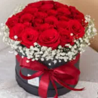 نگهداری و کمک به امور روز مره