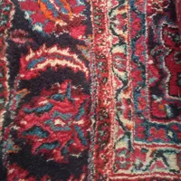 قالی دستباف قدیمی|فرش|گناباد, |دیوار