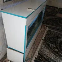 آکواریوم بزرگ|ماهی|زابل, |دیوار