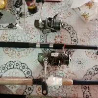 لنسر ماهیگیری معاوضه پرنده