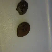 سنگ|جواهرات|خرمآباد, |دیوار