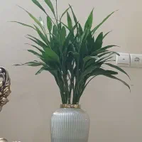 گلدان بامبو