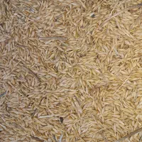 جو طارم|لوازم جانبی حیوانات|گیلوان, |دیوار