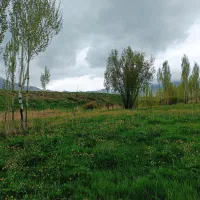 زمین ویهج مناسب باغ|فروش دفتر صنعتی، کشاورزی، تجاری|قروه, |دیوار