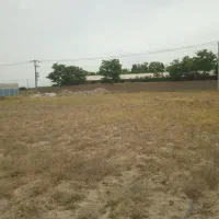 زمین کشاورزی