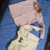 پلاستیک بزرگ هستن