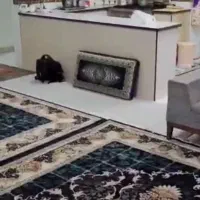 اجاره واحد ۸۰متری شهرک رسالت