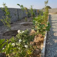 باغچه نقلی زیبا چهار دیواری ۲۰۰متر