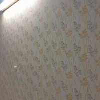 نقاشی ساختمان و طرح رنگ اکرولیک|خدمات پیشه و مهارت|رباطکریم, رباطکریم|دیوار