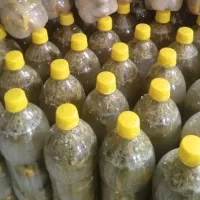 خیارشور سوپر ویژه