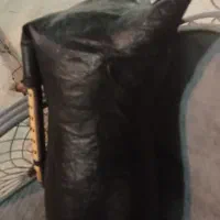نی انبان کوک سل درجه یک بوشهری