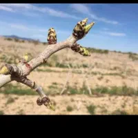 استخدام نیروی فروش و دفتری