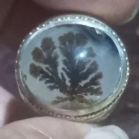 انگشتر کلکسیونی شجر دست‌ساز